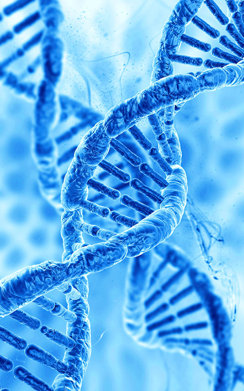 PDRN (Polydeoxyribonucleotide)